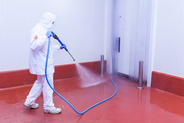 Playground Equipment Cleaning in Shingle Springs, CA